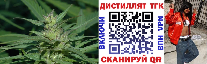 ТГК концентрат  Кизел 