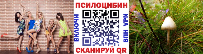 Галлюциногенные грибы Psilocybe  Кизел 